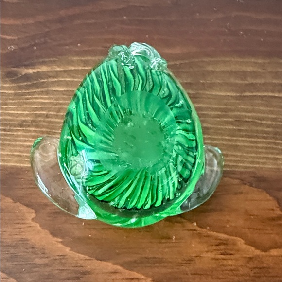 Glass Frog - Picture 7 of 9